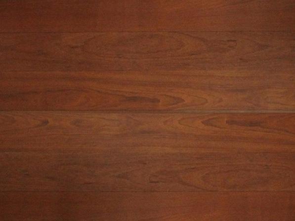 孿葉蘇木91AV免费看片定製